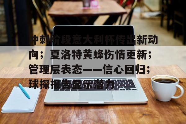 PG-冲刺阶段意大利杯传出新动向；夏洛特黄蜂伤情更新；管理层表态——信心回归；球探报告显示潜力的简单介绍